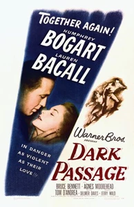 Dark Passage