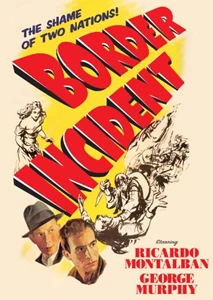 Border Incident