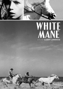 White Mane