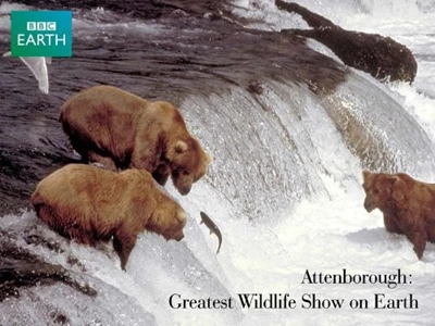 The Greatest Wildlife Show on Earth