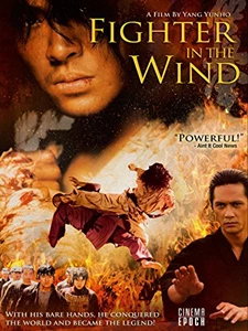 Fighter in the Wind