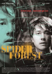 Spider Forest