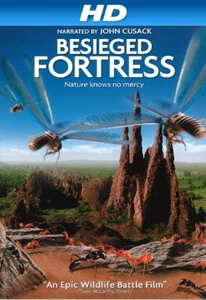 The Besieged Fortress