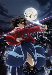 Kara no Kyoukai: The Garden of Sinners - Overlooking View