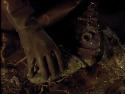 I Worship His Shadow