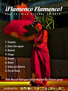 Flamenco, Flamenco