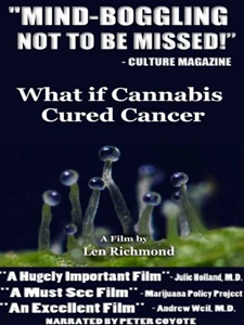 What If Cannabis Cured Cancer