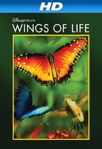 Disneynature: Wings of Life