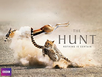 The Hunt