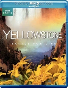 Yellowstone: Land to Life