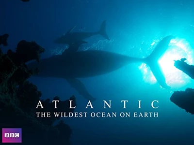 Atlantic: The Wildest Ocean on Earth 
