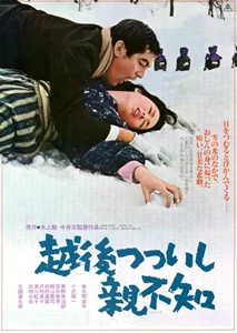 Echigo tsutsuishi oyashirazu