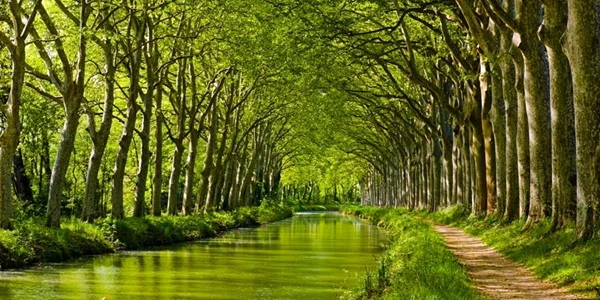 Great Canal Journey - Season Four