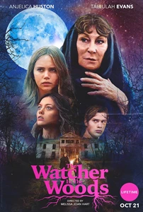 The Watcher in the Woods (2017)
