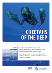 Cheetahs of the Deep (2014)