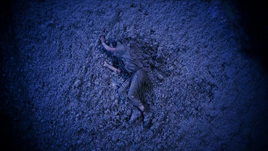 Pompeii: The Mystery of the People Frozen in Time (2013)