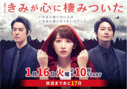 Kimi ga kokoro ni sumitsuita