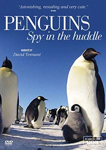 Penguins: Spy in the Huddle 
