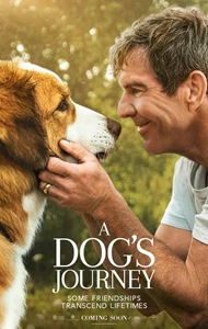 A Dog's Journey 