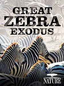 Great Zebra Exodus