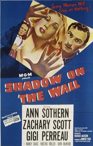Shadow on the Wall 