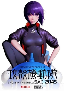 Ghost in the Shell SAC_2045 