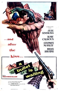 A Bullet Is Waiting 