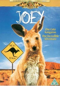 Joey 