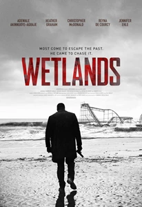Wetlands 