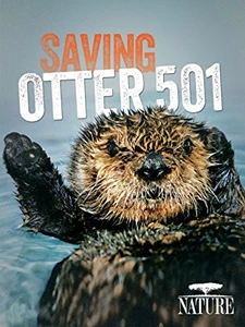 Saving Otter 501