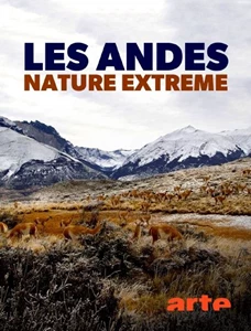 The Wild Andes 