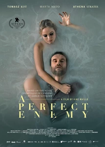 A Perfect Enemy 